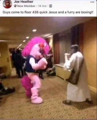 типичный фурри кон